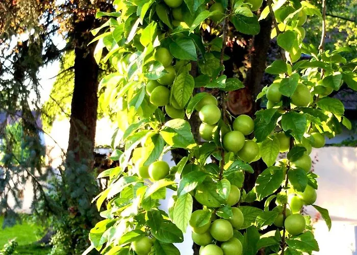 Historical 5-bedroom - Disabled Access *